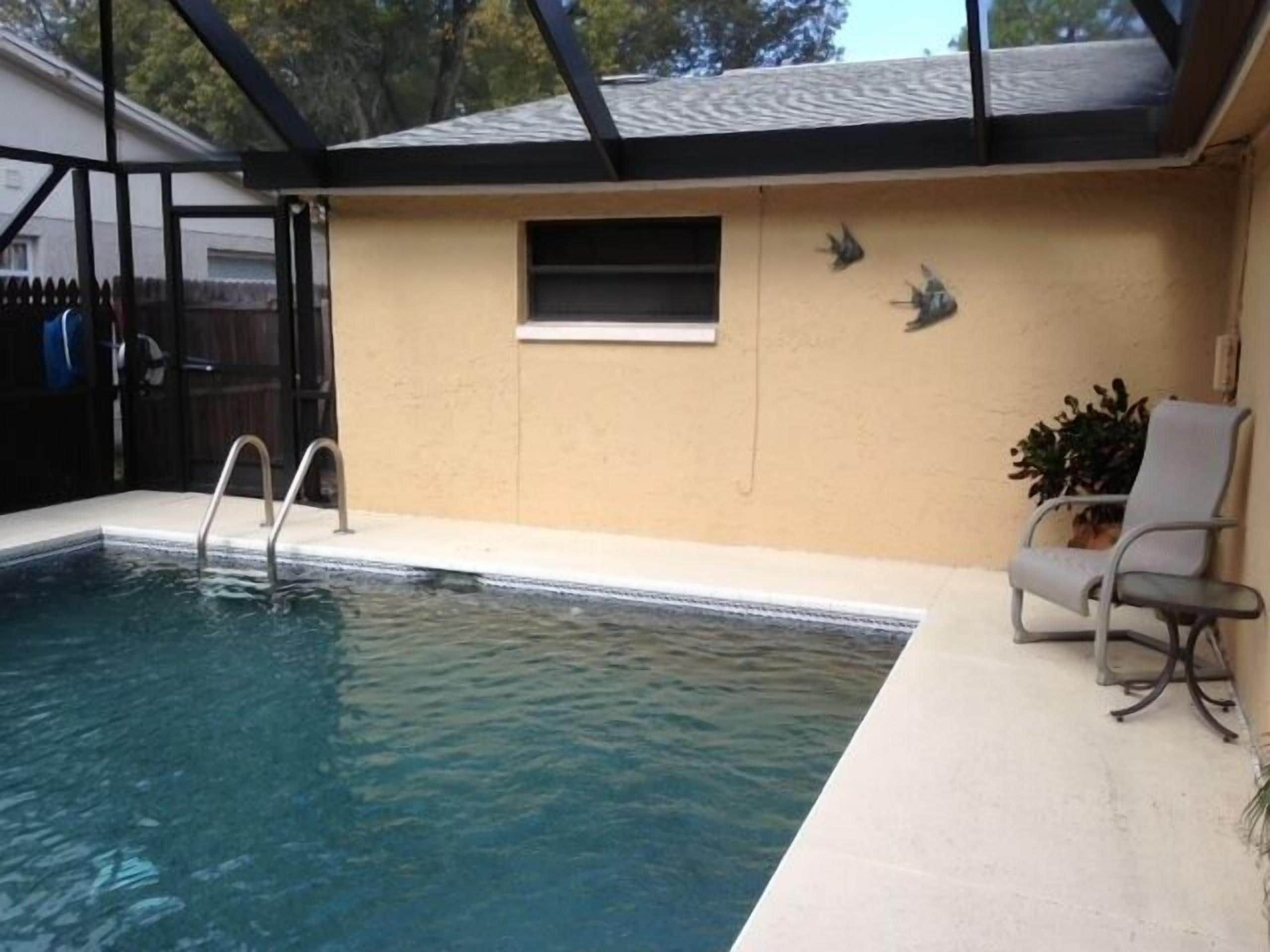 Top 10 PetFriendly Rentals In Pasco County, Florida Trip101