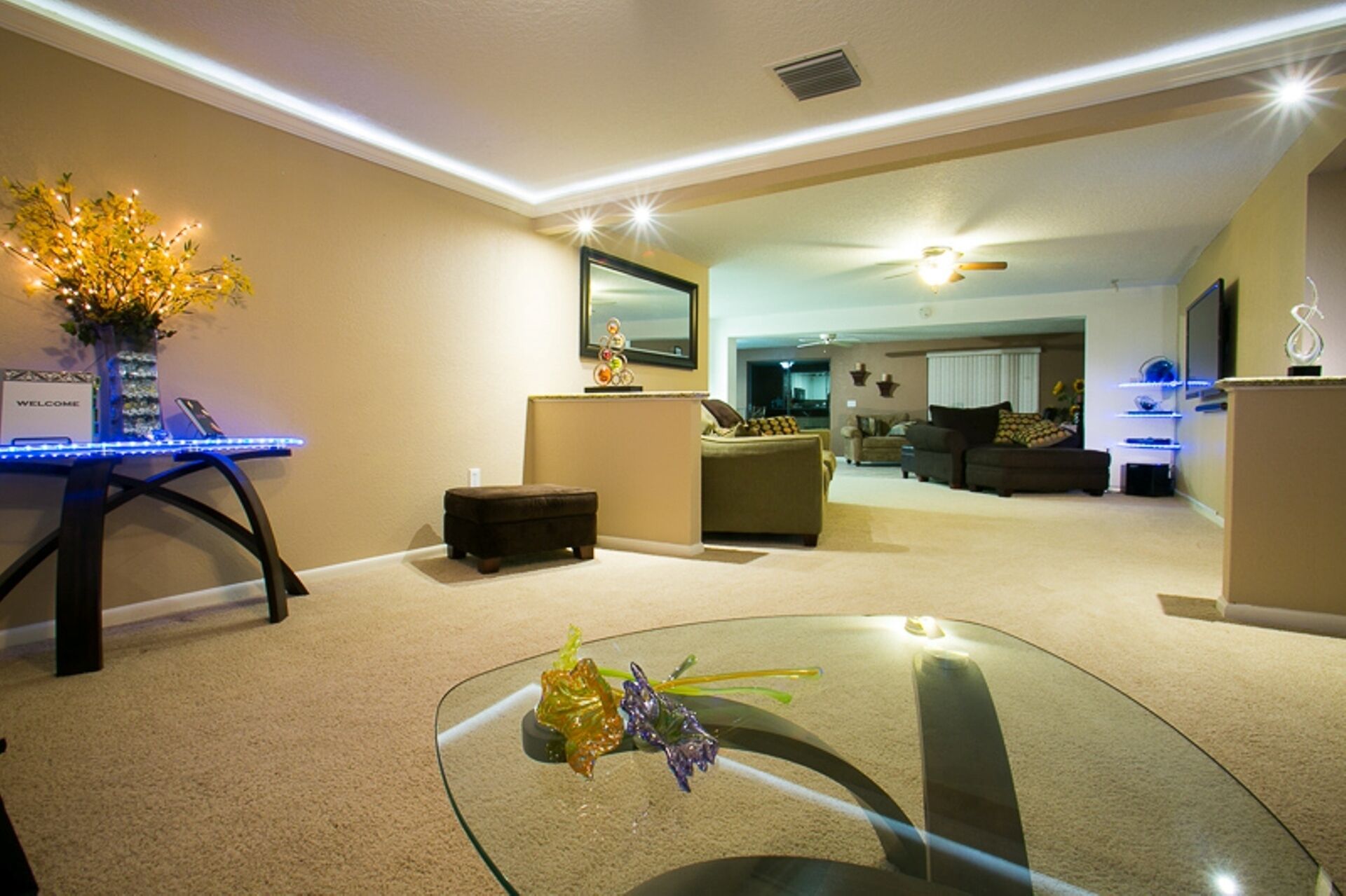 Top 10 PetFriendly Rentals In Pasco County, Florida Trip101