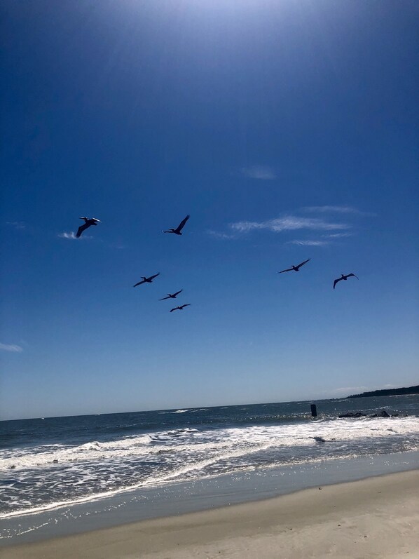 Ubicación cercana a la playa
