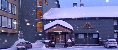 Exteriör