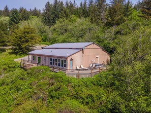 Une cabane dotée d’une terrasse, entourée d’une forêt dense.