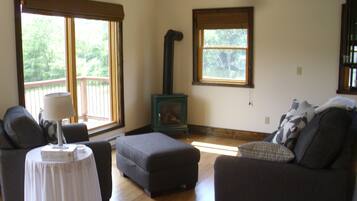 Télévision, cheminée, livres, chaîne hi-fi