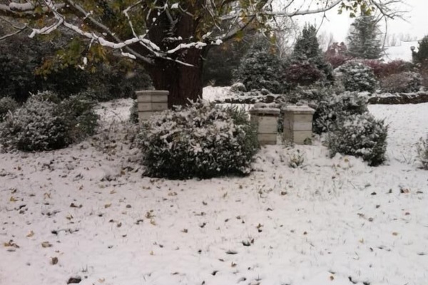 Área da propriedade