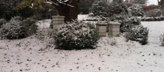 Garden Cottage near Asheville and Blue Ridge Parkway