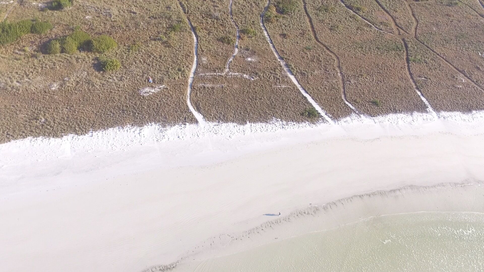 An aerial view of a beach with a sandy shoreline and sparse vegetation.