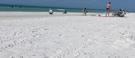 On the beach, sun loungers, beach umbrellas, beach towels