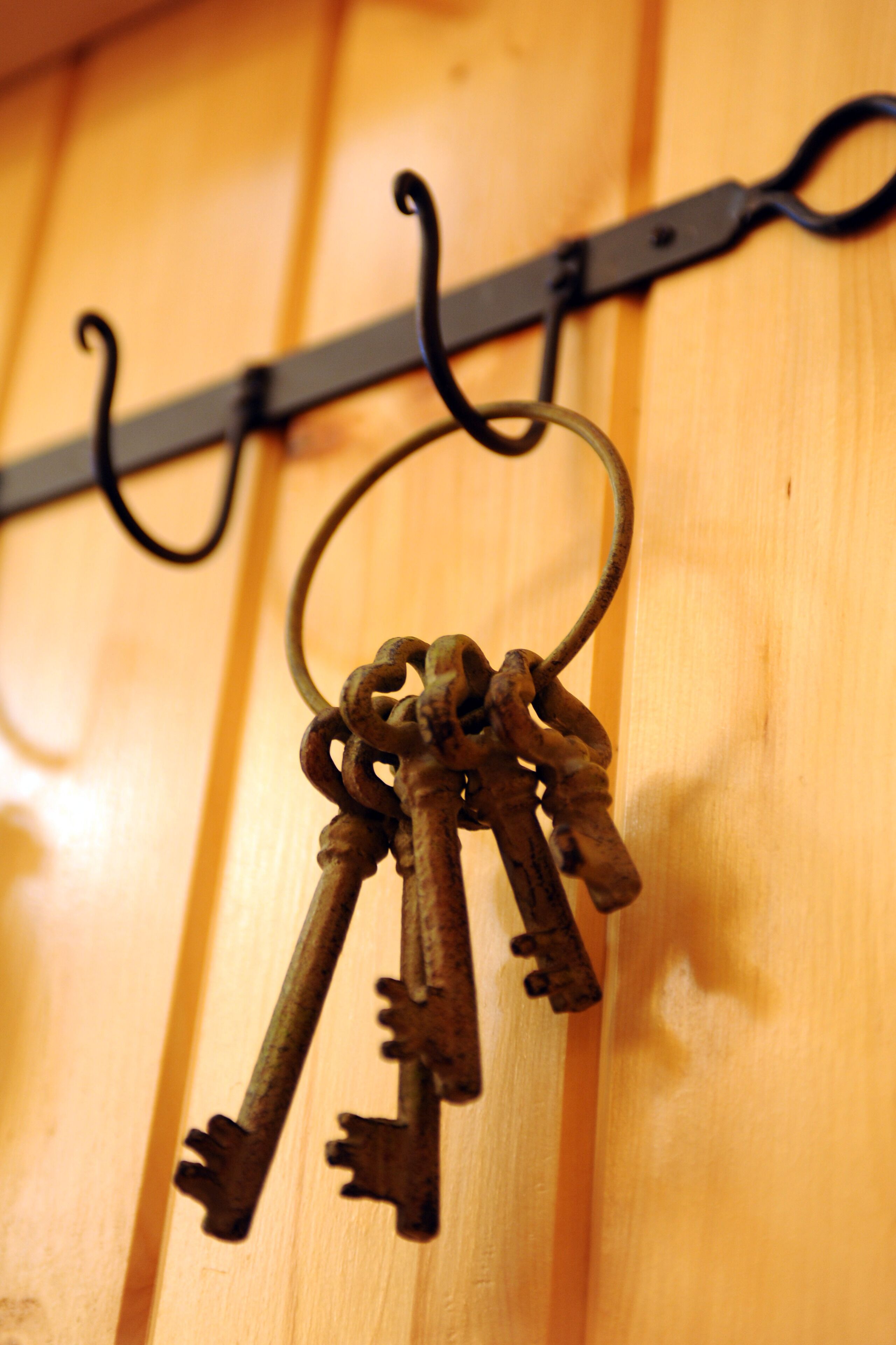 A set of keys hanging on a metal hook against a wooden background.