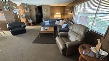 Televisión, chimenea, reproductor de DVD y libros