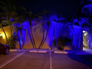 Stunning architectural feature with a wall of evenly spaced openings, set against a tropical backdrop of palm trees.