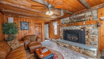 Smart TV, fireplace, table tennis, books