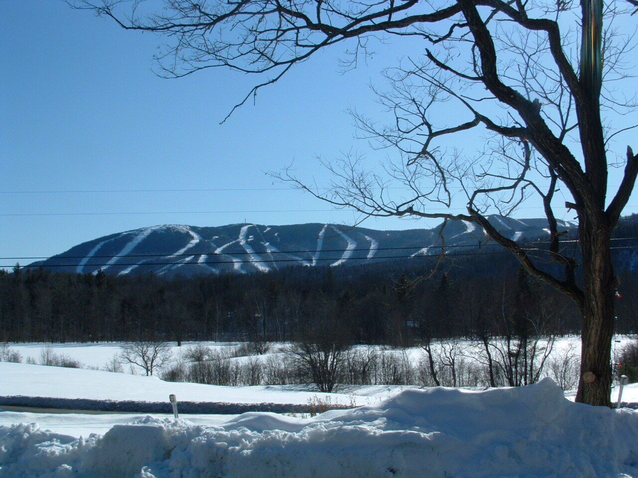A snow-covered landscape with a mountain in the background, a leafless tree in the foreground, and a clear blue sky.