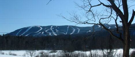 A snow-covered landscape with a mountain in the background, a leafless tree in the foreground, and a clear blue sky.