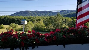 A roadside view with a flag, flowers, and a sign. - Mountain House Magic (Newry)