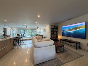 Smart TV, DVD player, books, video library
