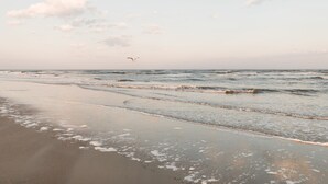 A beach with waves and a seagull in the sky. - Always a great time on south island of Tybee! and short drive to Savannah! (Tybee Island)