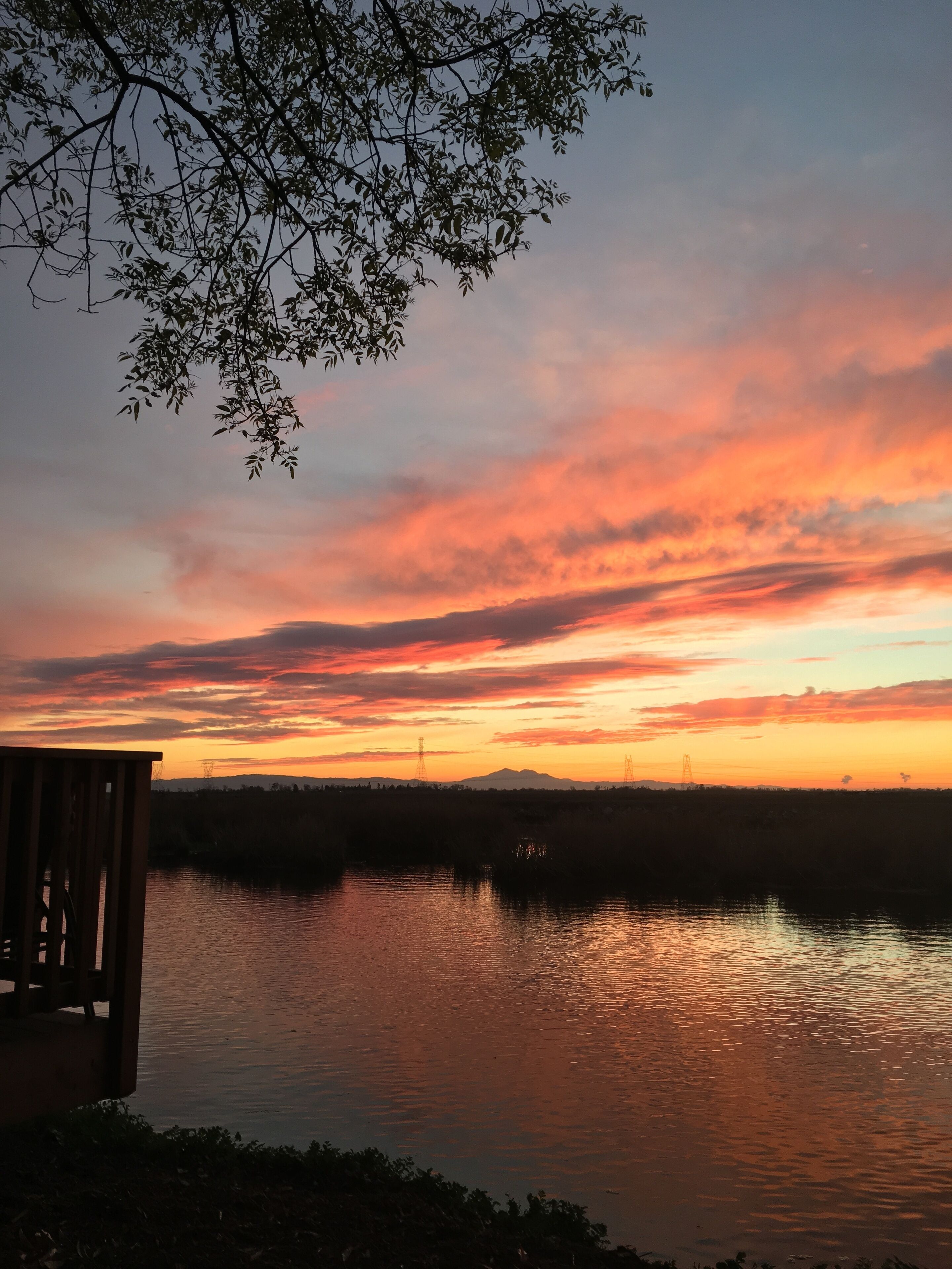Un coucher de soleil sur une étendue d’eau, avec un quai et des arbres au premier plan.