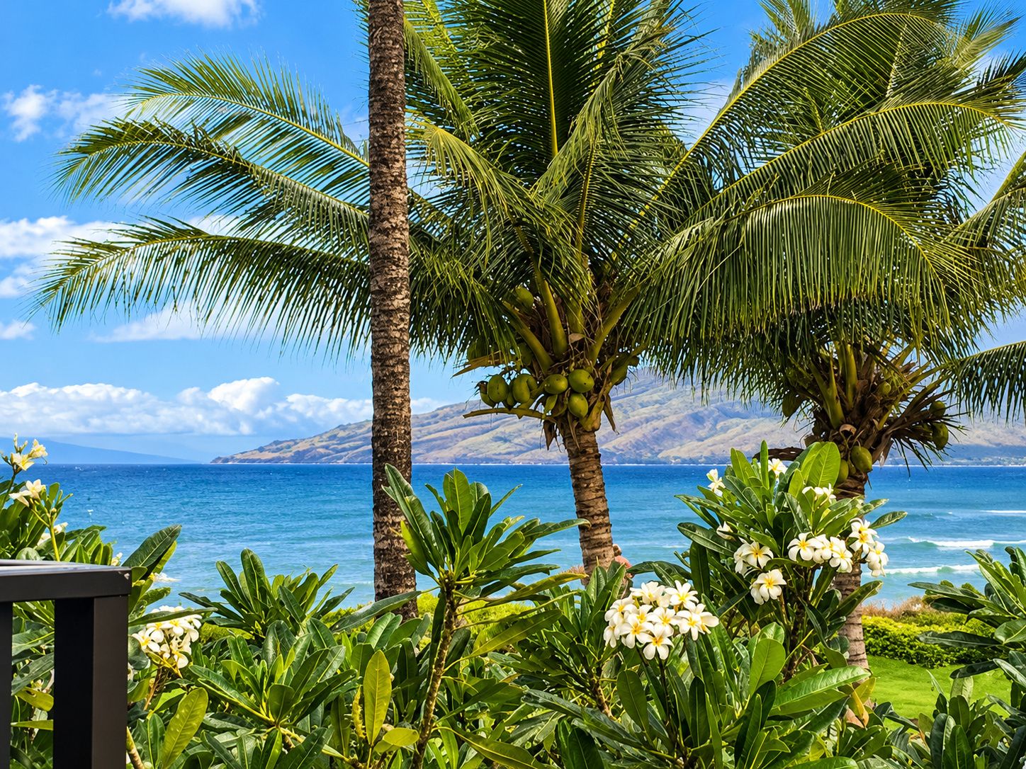 Un paysage tropical avec des palmiers et une vue sur l’océan.