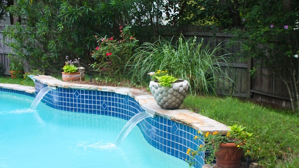 Une piscine dont le bord est recouvert de carreaux, entourée de plantes en pot et d’une clôture en bois.