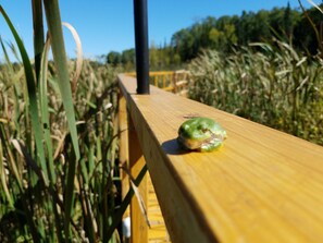 Speisen im Freien