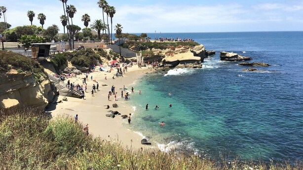 A coastal beach with clear waters, palm trees, and rocky outcrops. - Oceanfront Beach, Pool, Hot Tub, Pickleball, Movie Theater, Elevator & Golf Cart (La Jolla)