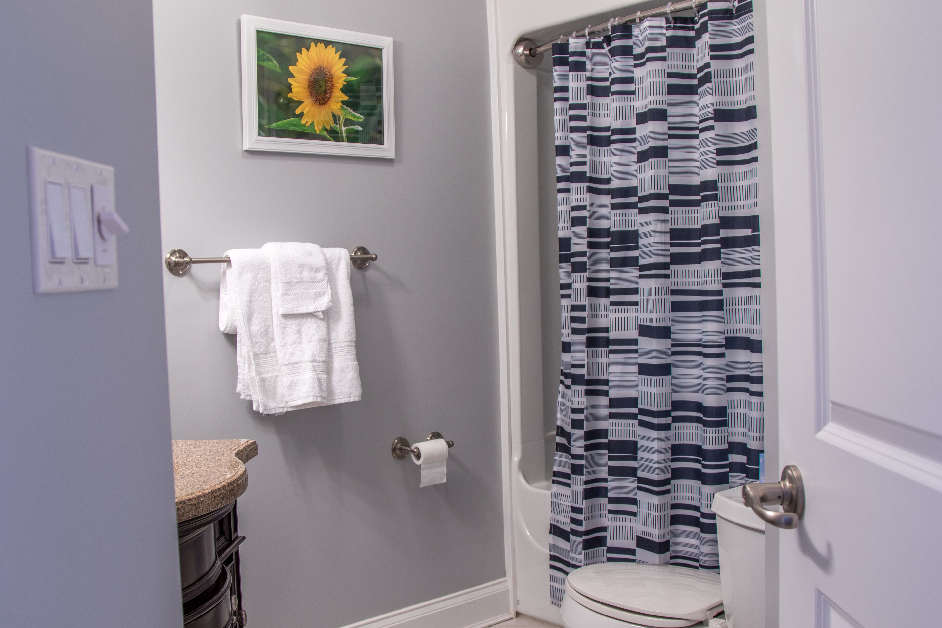 A bathroom with a shower curtain, a toilet, a towel rack with towels, a sink, and a framed picture on the wall.