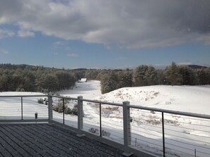 Property grounds - Beautiful Farmhouse located on 1200 acres of private bliss with a quiet pond. (Brownfield)