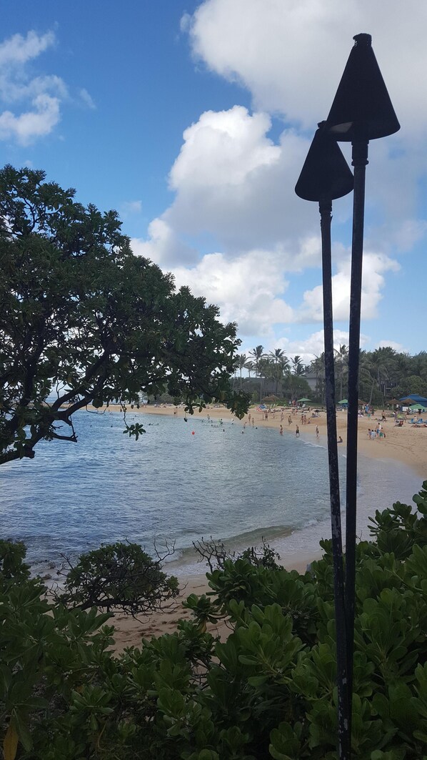 A beach with palm trees and a clear sky.
