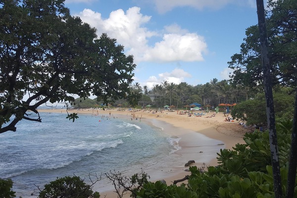 Nearby Turtle Bay Beach & Resort. Within walking distance.