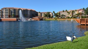 Een hotel met een grote waterfontein, een gazon en een zwembad.