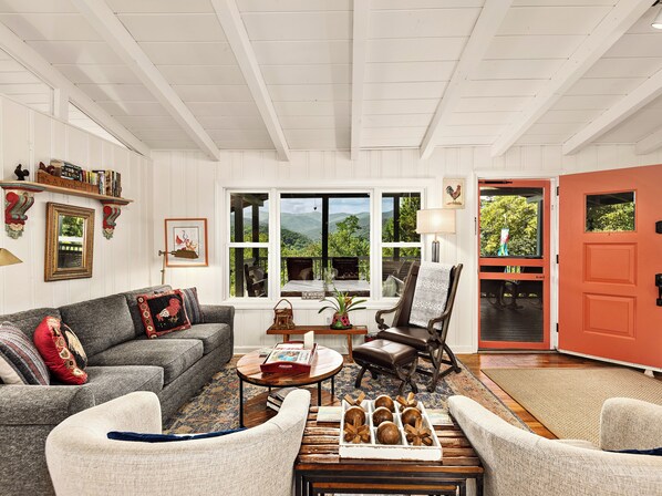 Smart TV, DVD player, books, video library