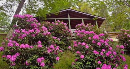 QUAINT MOUNTAIN COTTAGE-BREATH TAKING VISTAS-1. ¡5 MILLAS AL CENTRO WAYNESVILLE!