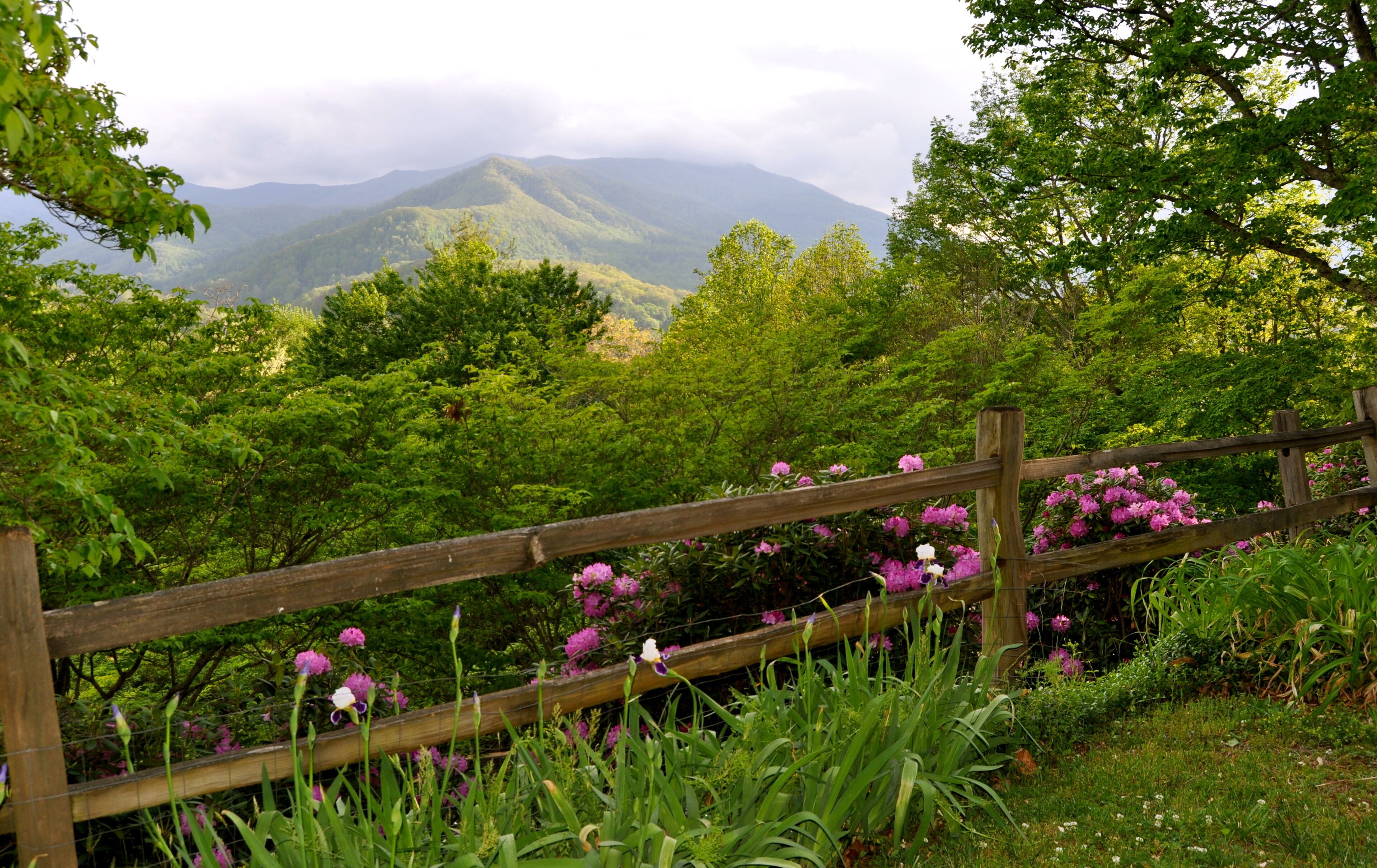 10 Best LongTerm Rentals In Waynesville, North Carolina Updated 2024