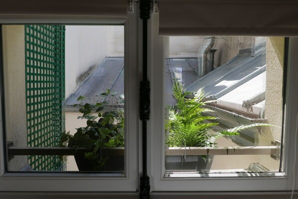 A window with a view of a balcony, a potted plant, and a green metal fence.