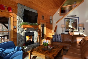 Smart TV, fireplace, books