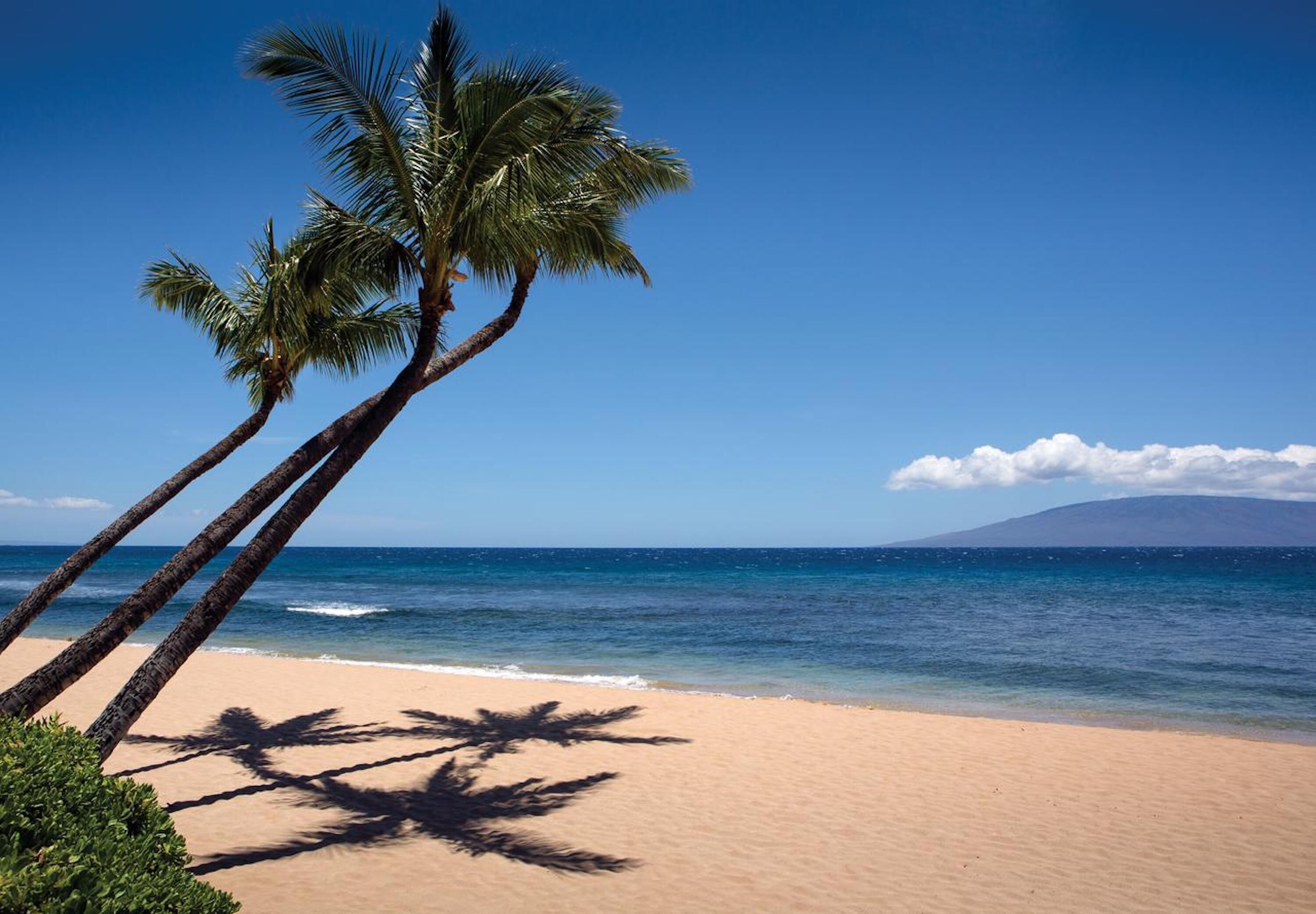 On the beach, sun loungers, beach towels
