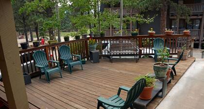 Golden Enchanted Getaway at Angel Fire 2 bedroom 2 bath Condo