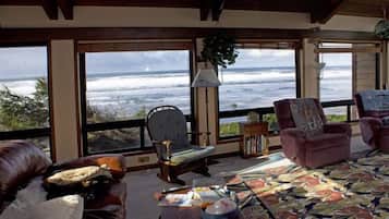 TV, DVD player, books, video library