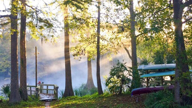 Une zone boisée avec une terrasse en bois et un canoë près d’une étendue d’eau.