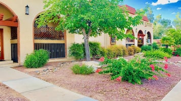 Enceinte de l’hébergement