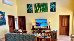 Smart TV, reproductor de DVD, libros y estéreo
