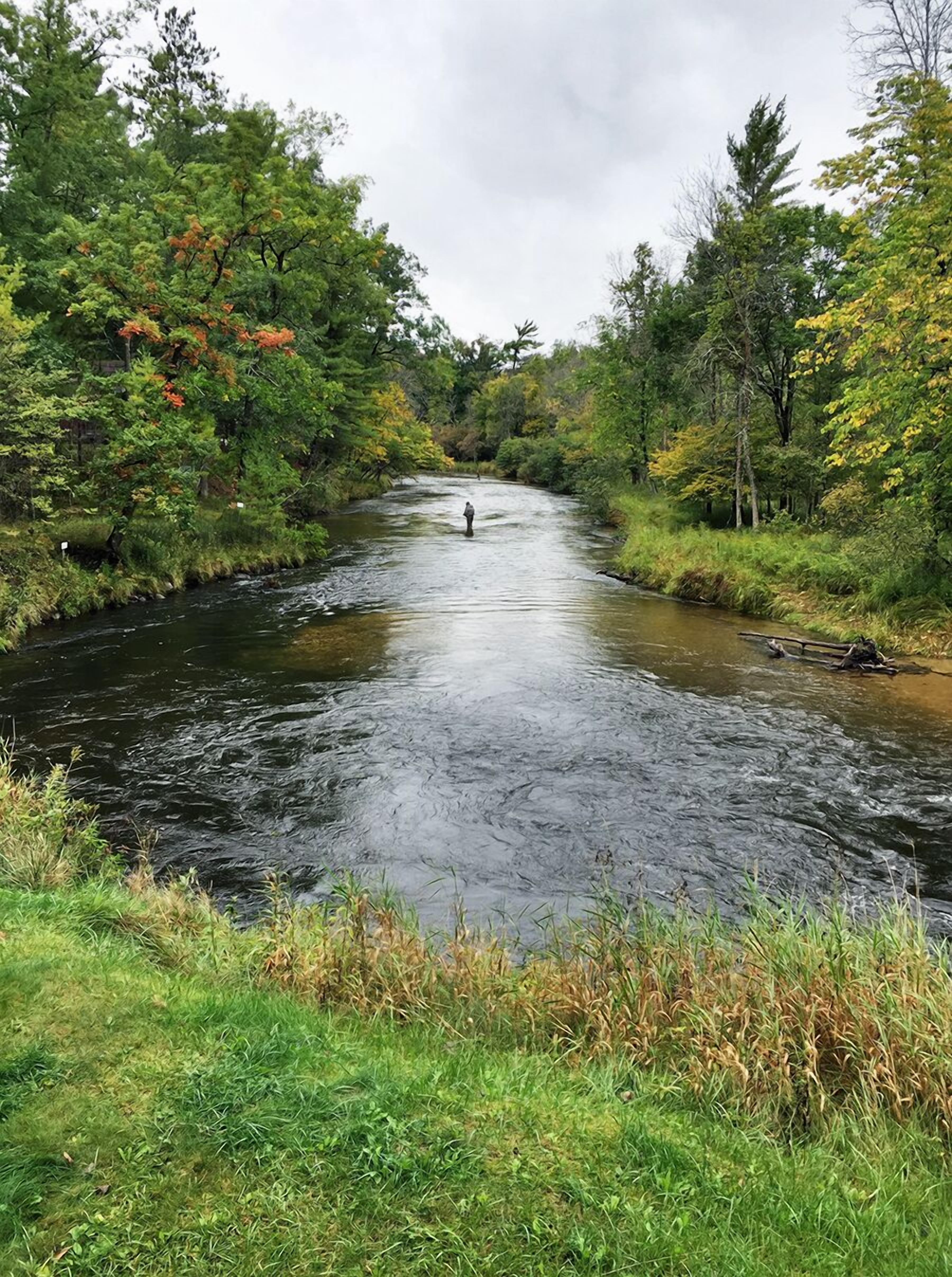 10 Best Cabin Rentals In Manistee National Forest, Michigan Updated