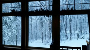 A view through a window with a view of a snowy forest.