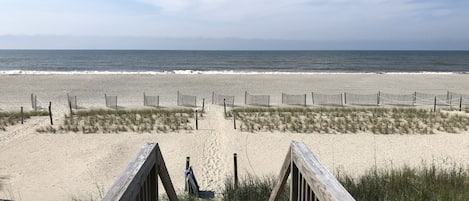 On the beach