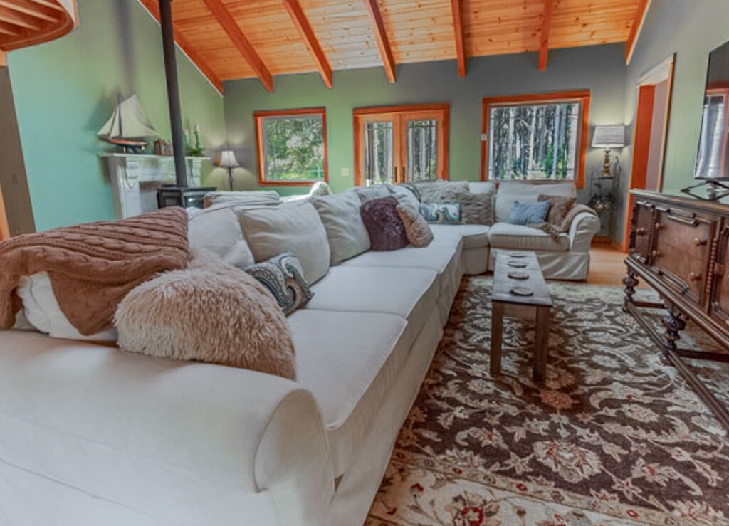 TV connectée, cheminée, lecteur de DVD, livres