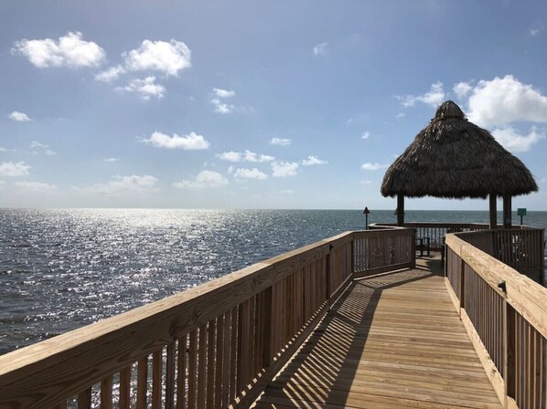 Imagen sin descripción, 1 de 88, botón