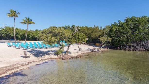 A beach with clear shallow waters, a row of blue lounge chairs, and palm trees. - Dbl Master |Oceanview |Jacuzzi |Beach |Marina |BBQ (Tavernier)