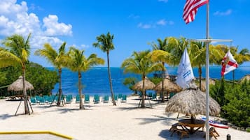 A beach with a flagpole, palm trees, and beach chairs.