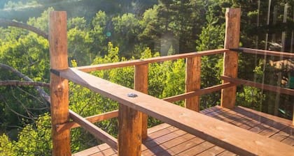 East Side of Glacier Park is our back yard!! Have a look.