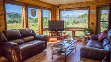 Smart TV, DVD player, books, video library
