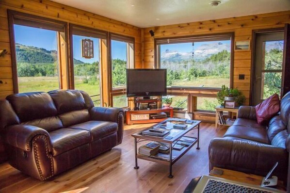 Smart TV, DVD player, books, video library